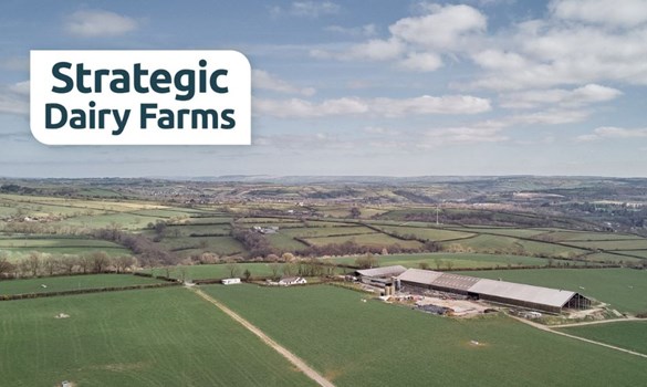 Aerial view of Sychpant Farm with the Strategic Dairy Farms logo.